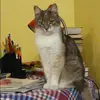 Отзыв от Галя Столярова